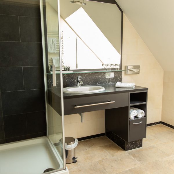 The Reinisch Hotel Business Apartments Bathroom Double Room